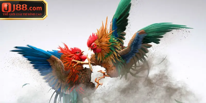 Đá Gà J88 - Đỉnh Cao Giải Trí Truyền Thống Kết Hợp Công Nghệ